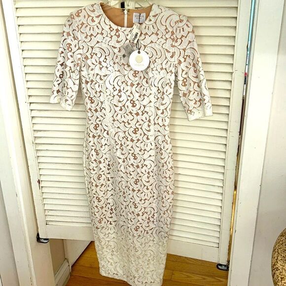 NWT Misha Rosie Dress 👗 Lace over nude lining. Gorgeous! Wedding 💒 ready! - Picture 4 of 17